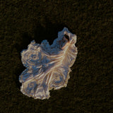 Ostria