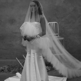 Aria veil